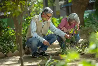 Senior Citizen Corner